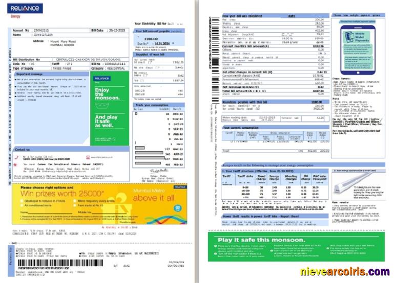 India Reliance Energy utility bill